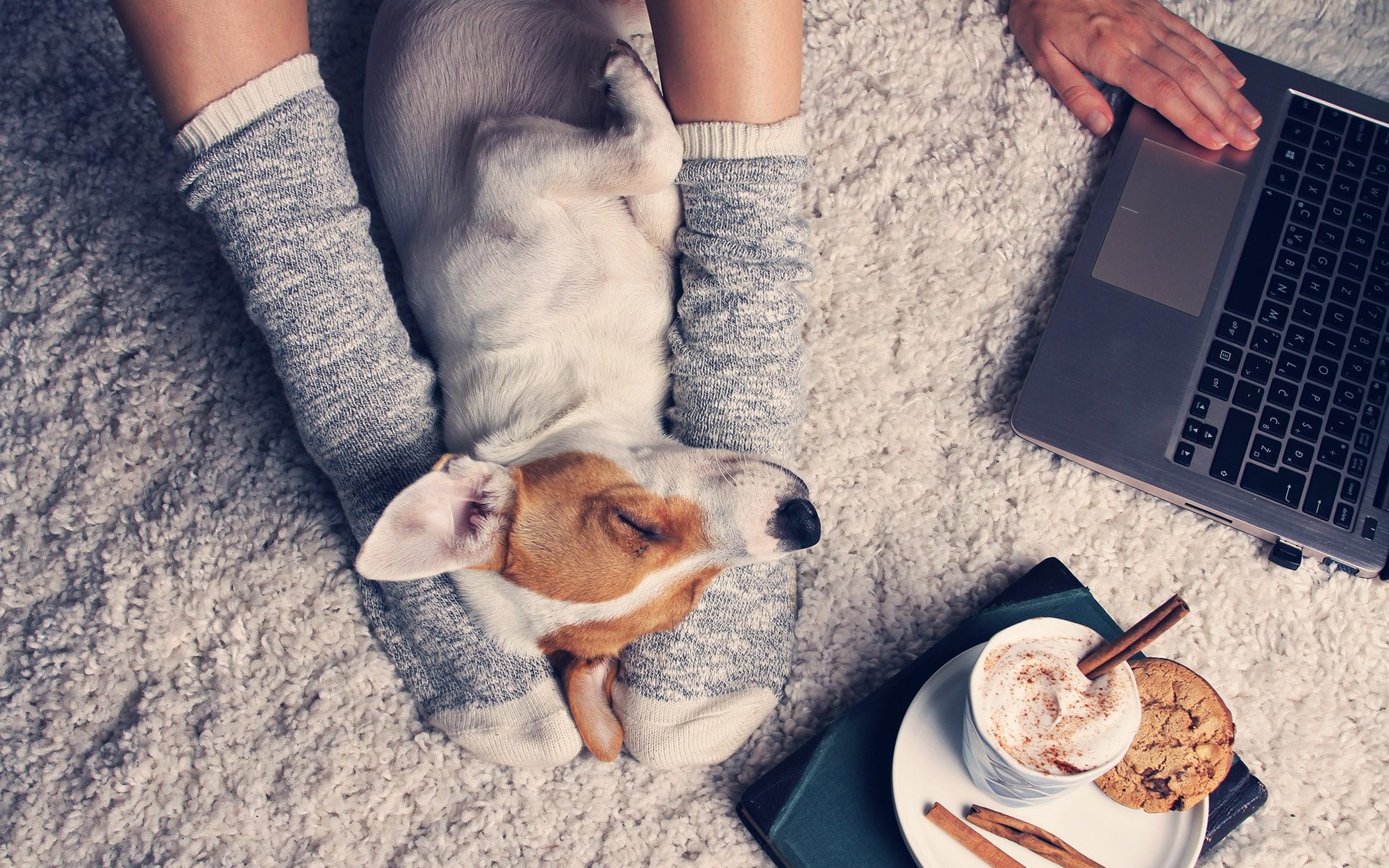 Dog sleeping between a woman’s feet