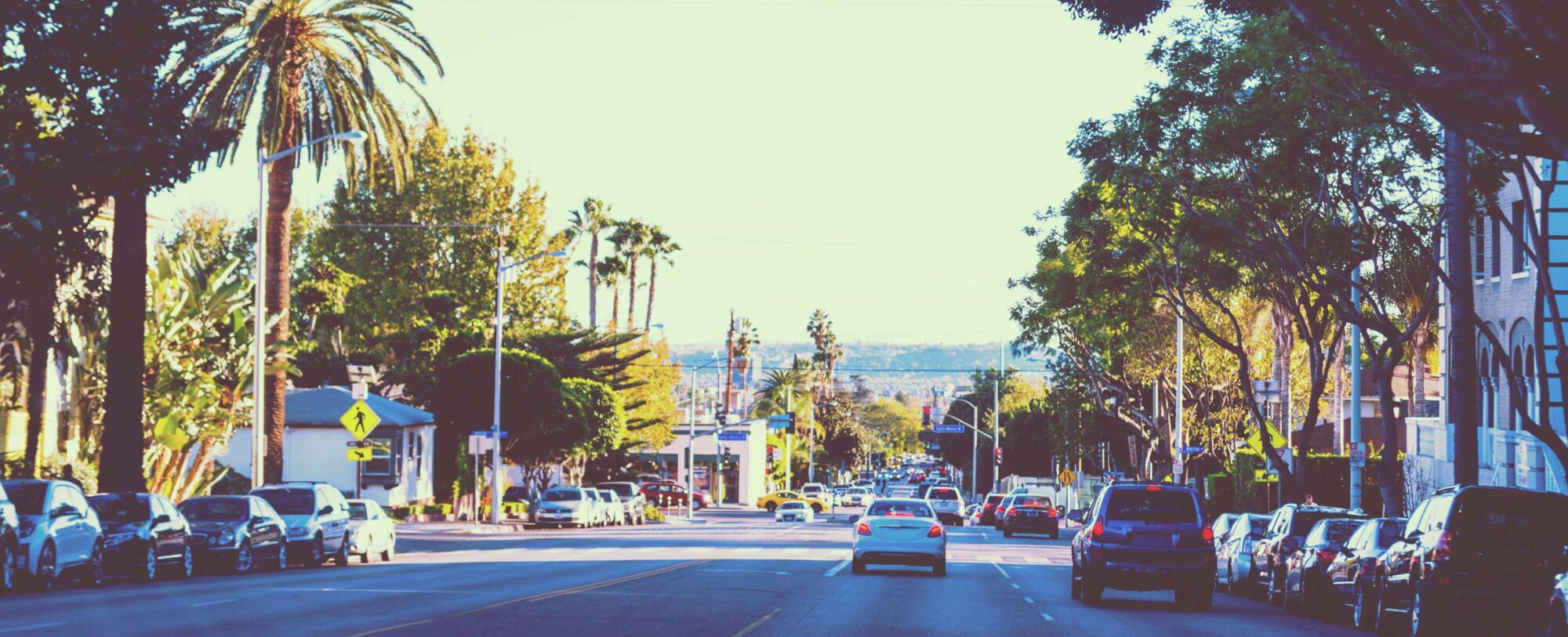 Busy city street with large trees